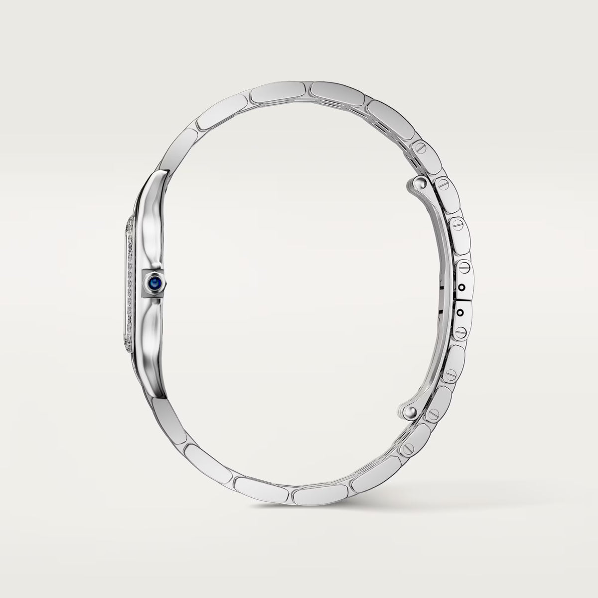 Cartieer Panthère de Cartieer Stainless Steel Diamond Bezel Watch